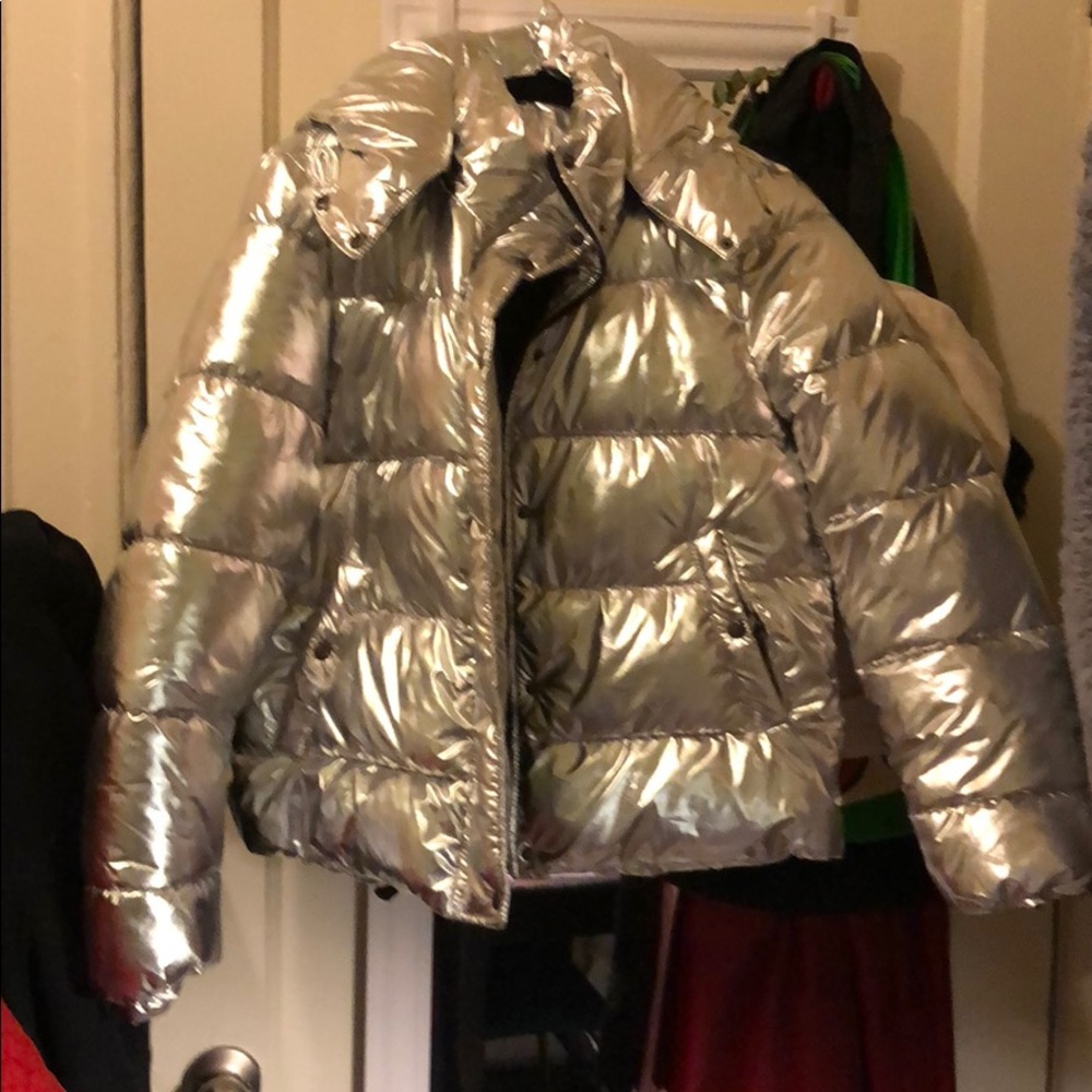 Silver Puffer - image 1